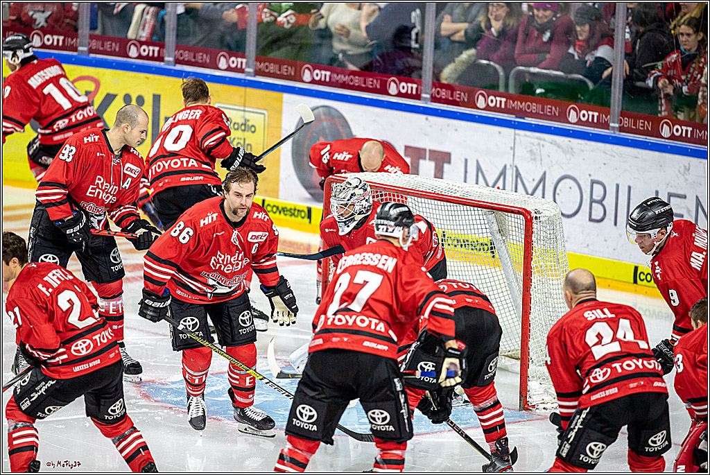 DEL; Koelner Haie - ERC Ingolstadt; Koeln, 03.11.2019